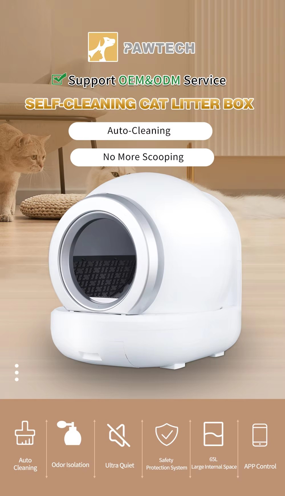 APP-BOX (7).jpg