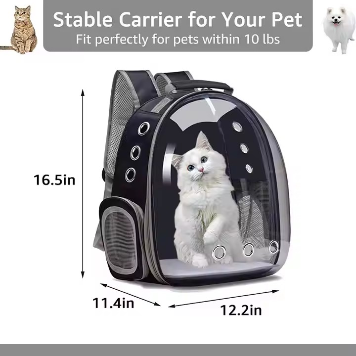 cat -bag  (6).jpg
