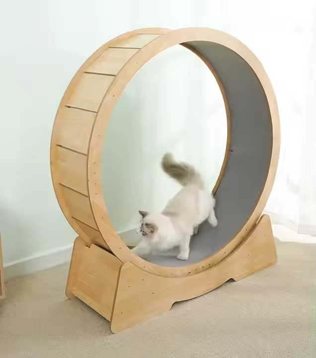 Cat Running Wheel Treadmill Birch/Oak Wooden Frame 110CM for Pet Exercise Indoor